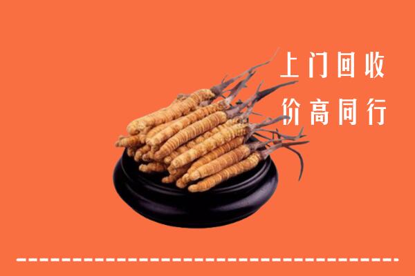 收购行情：海南东方市冬虫夏草回收多少钱每克