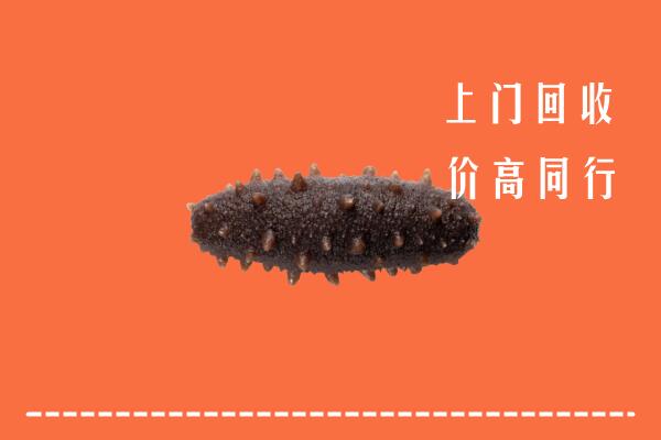 收购行情：海南东方市回收海参